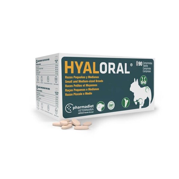 Hyaloral Petit et Moyen Chien