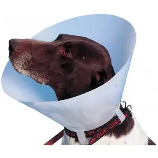 Buster Collerette Carcan Classique pour Chien – 20 cm