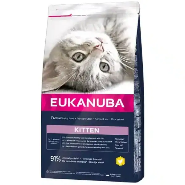 Eukanuba Chaton Healthy Start Kitten 1-12 mois