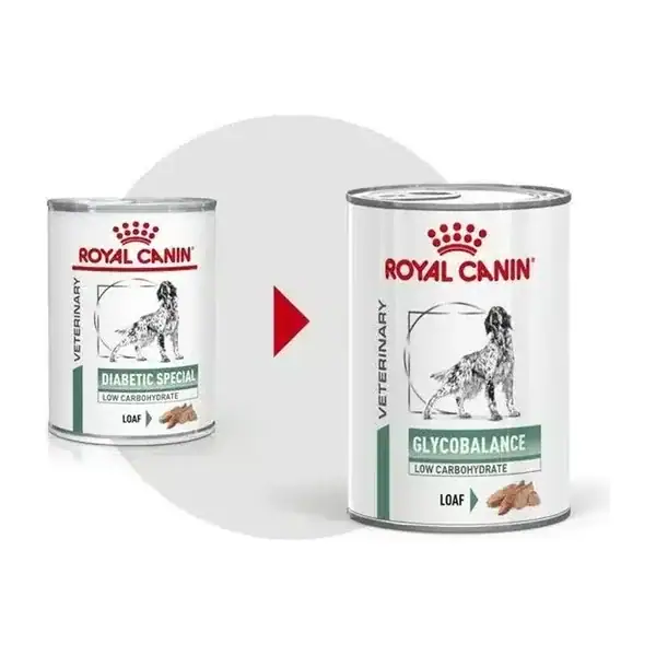 Royal Canin Vet Chien Glycobalance Diabetic Special 12 x 410 g