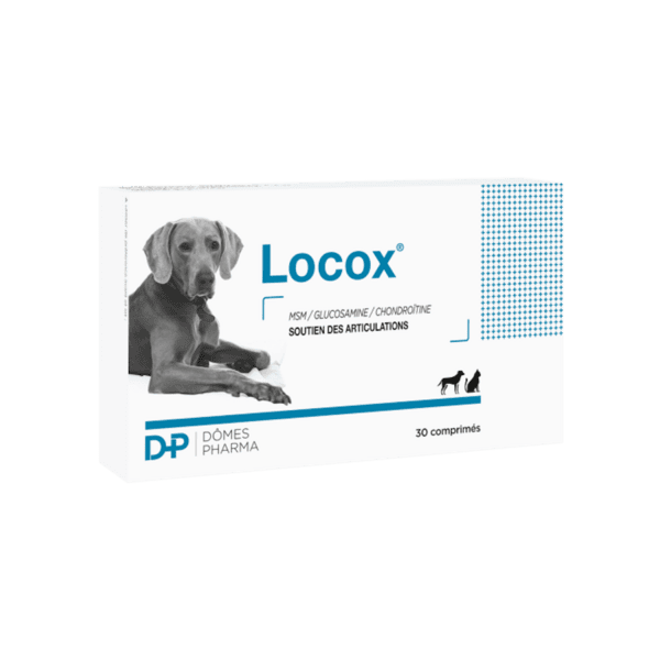 Locox 30 comprimés Dômes Pharma articulations chien et chat