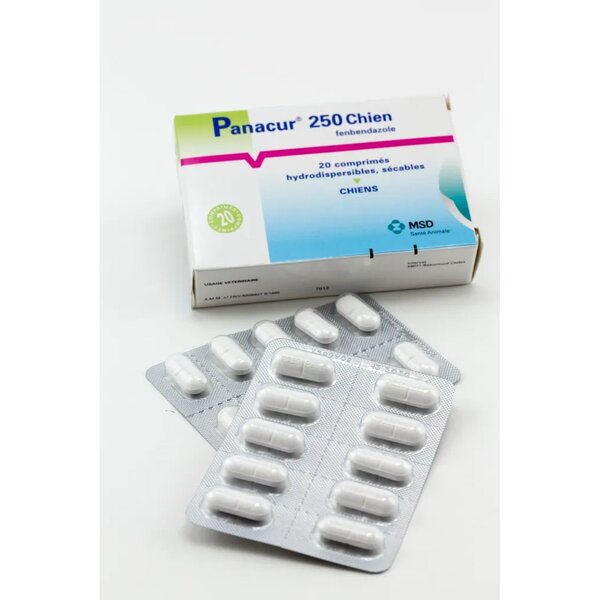 Boîte de Panacur 250 Chien et ses deux plaquettes de comprimés hydrodispersibles au fenbendazole