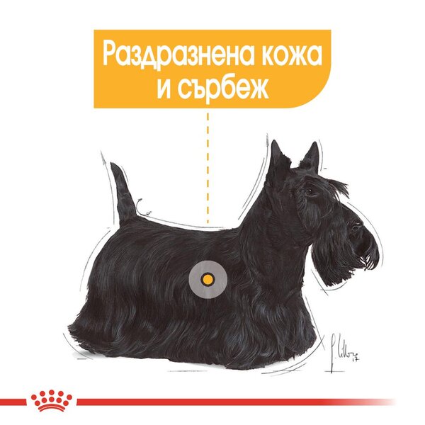 ROYAL CANIN® CCN DERMACOMFORT пастет 85г стек/12бр - Image 6