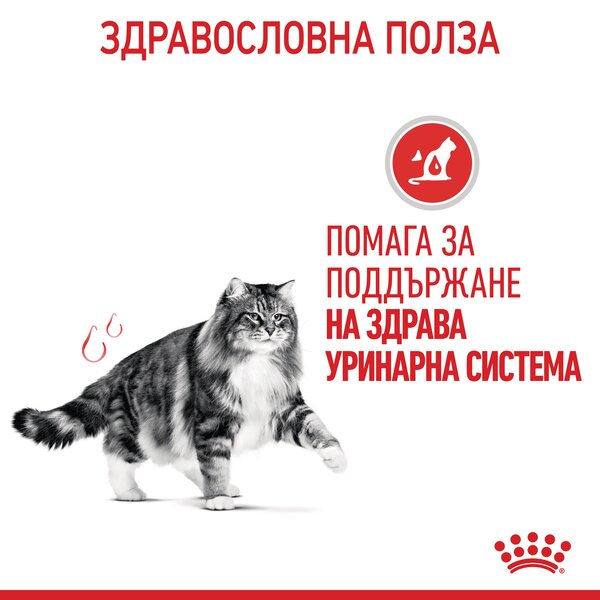 ROYAL CANIN® FCN URINARY CARE CAT 4кг - Image 6