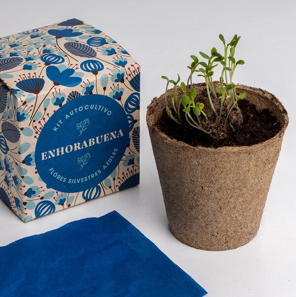 Kit de autocultivo "Enhorabuena" - Imagen 4