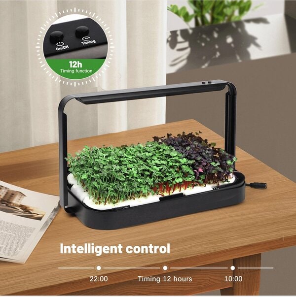 Smart Microgreen Kit — Germogliatore Intelligente con Luce LED - immagine 16