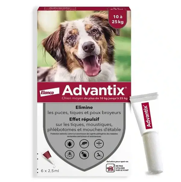 Advantix Chien Moyen (10-25 kg) – 6 pipettes