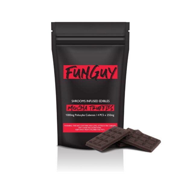 FunGuy Mocha Truffle- 1000mg