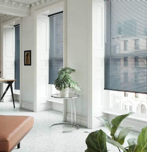 Bright space with contemporary window blinds and indoor plants.