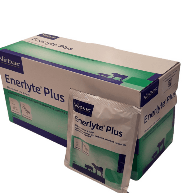 enerlyte plus