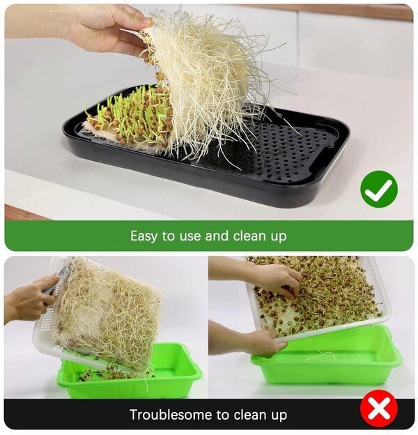 Smart Microgreen Kit — Germogliatore Intelligente con Luce LED - immagine 8