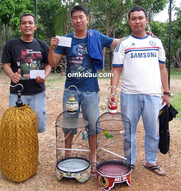 Juara 1, 2, dan 3 lovebird