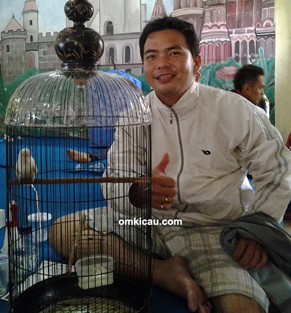 Lovebird Bule