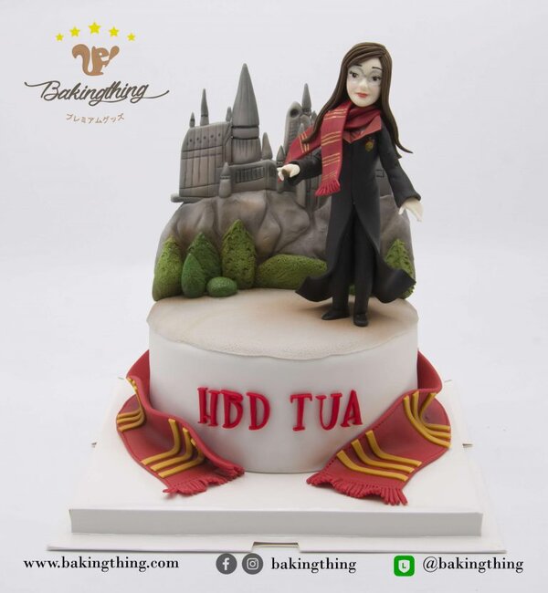 เค้ก 3 มิติ Harry Potter
