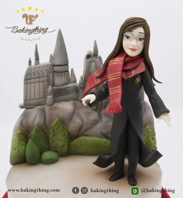 เค้ก 3 มิติ Harry Potter