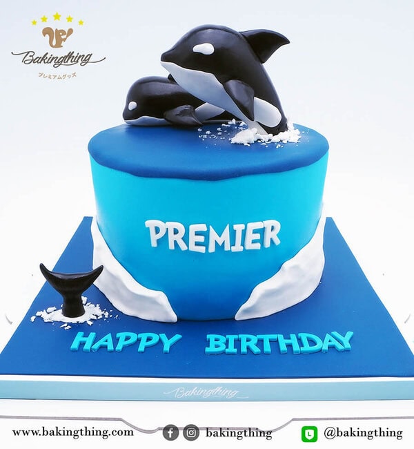 เค้ก 3 มิติ ปลาโลมา