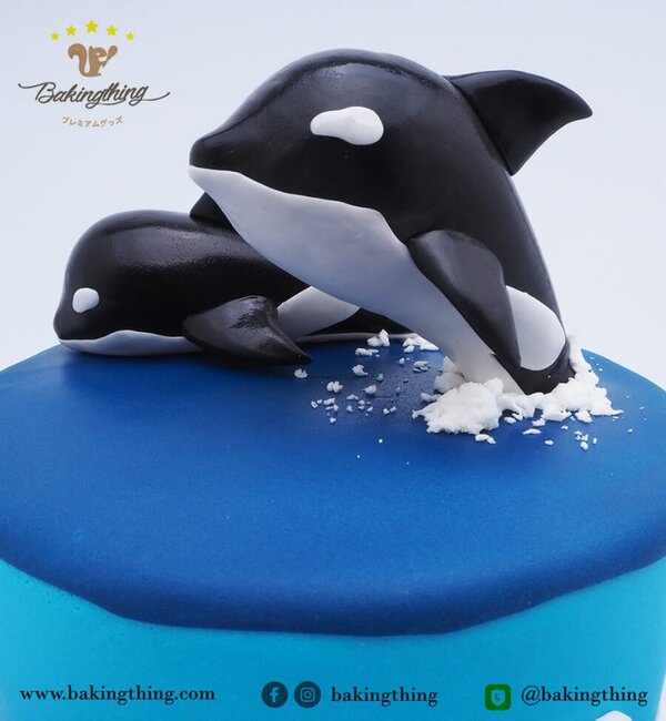 เค้ก 3 มิติ ปลาโลมา