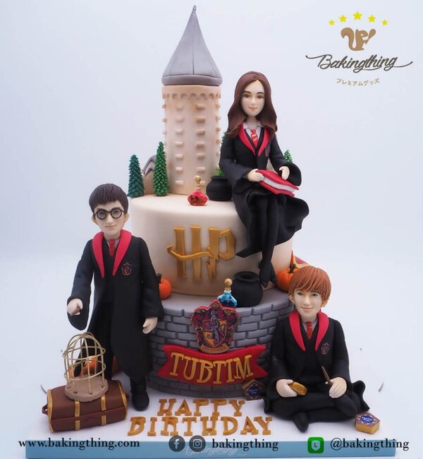 เค้ก 3 มิติ Harry Potter