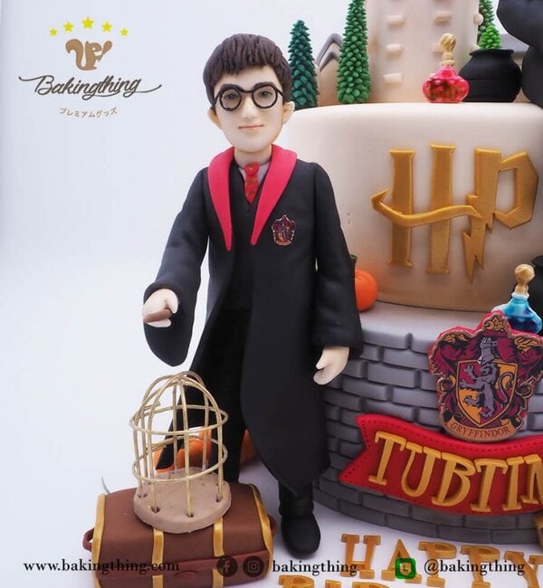 เค้ก 3 มิติ Harry Potter