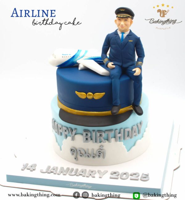 เค้ก 3 มิติ Airplane