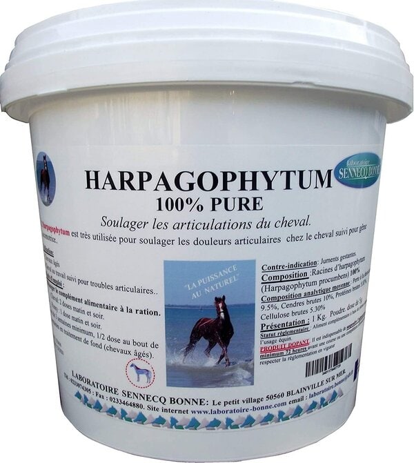 Sennecq Bonne Harpagophytum Équin Poudre Orale 1kg