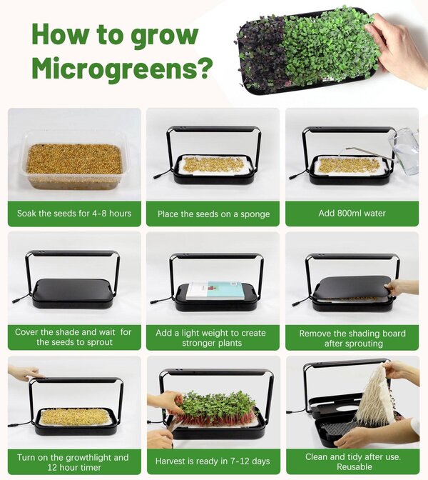 Smart Microgreen Kit — Germogliatore Intelligente con Luce LED - immagine 5
