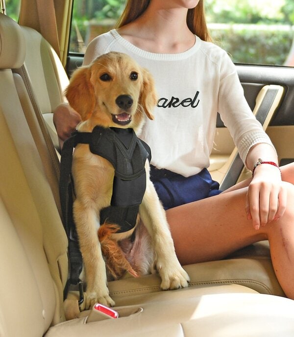 Pet Life Road-To-Safety Pet Dog Car Harness With Detachable Swivel Hook - Image 4