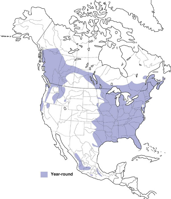 Barred Owl map Barred Owl map