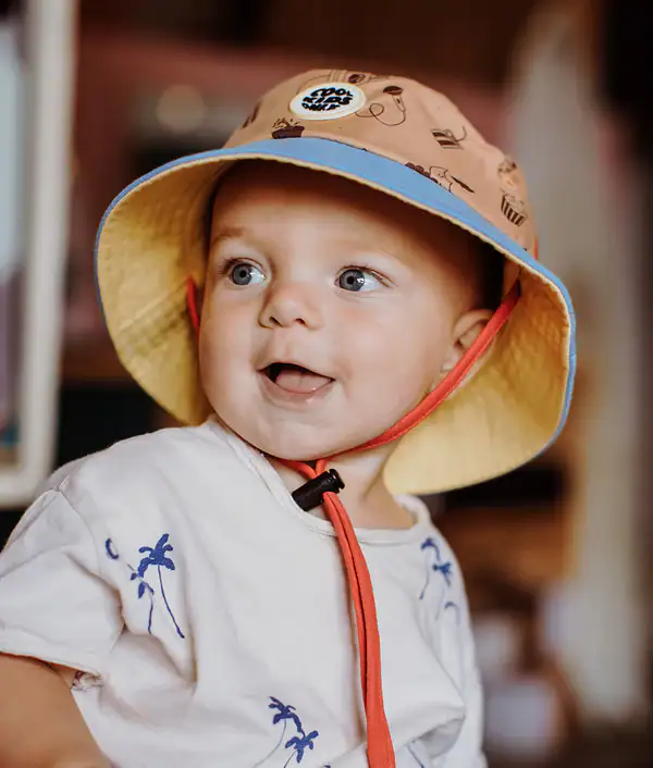 Hello Hossy Bob Groovy