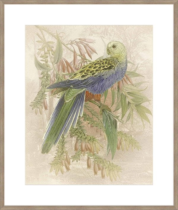 Parrot Price - 10cm Mount Board - Image 3