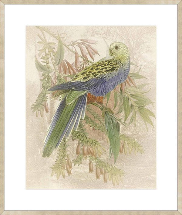 Parrot Price - 10cm Mount Board