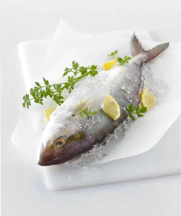 Ricciola