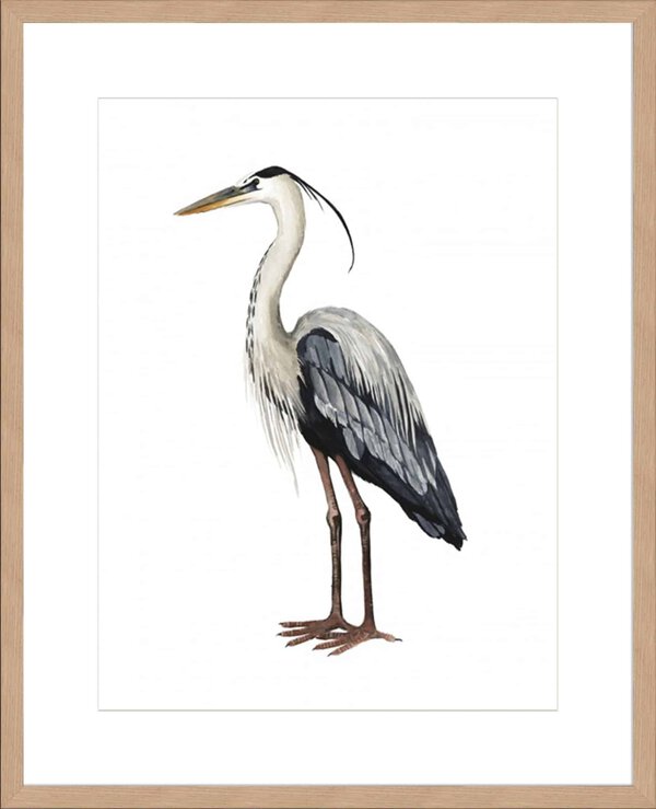 Sea Bird I - 10cm Mount Board Lg. Box Natural