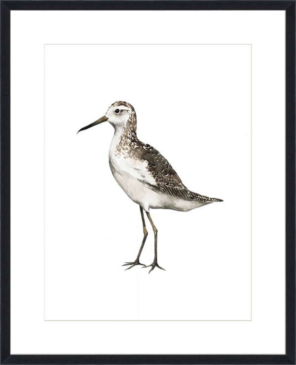 Sea Bird VI - 10cm Mount Board Lg. Black Woodgrain
