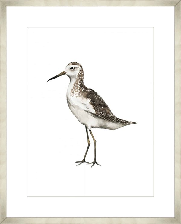 Sea Bird VI - 10cm Mount Board Med. Box Champagne
