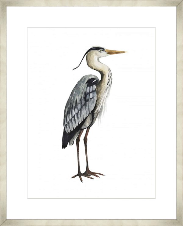 Sea Bird V - 10cm Mount Board Med. Box Champagne