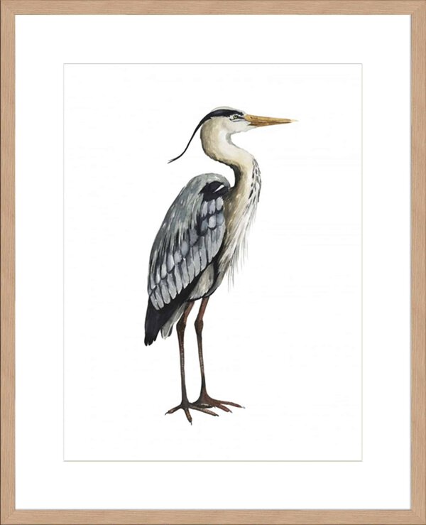 Sea Bird V - 10cm Mount Board Lg. Box Natural