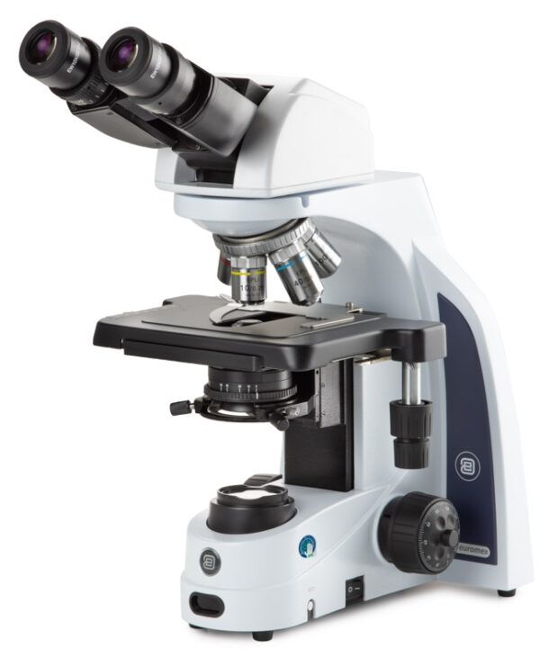 Microscopio iScope, Binoculares IS.1158-EPLi