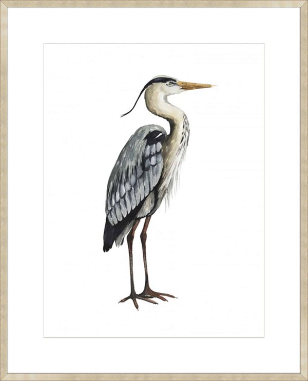 Sea Bird V - 10cm Mount Board Sm. Box Champagne