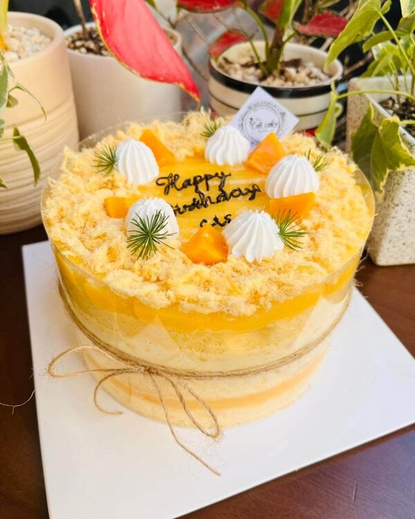 Bánh Sinh Nhật Bông Lan Trứng Muối Bánh Sinh Nhật Bông Lan Trứng Muối the cati cake hà nội