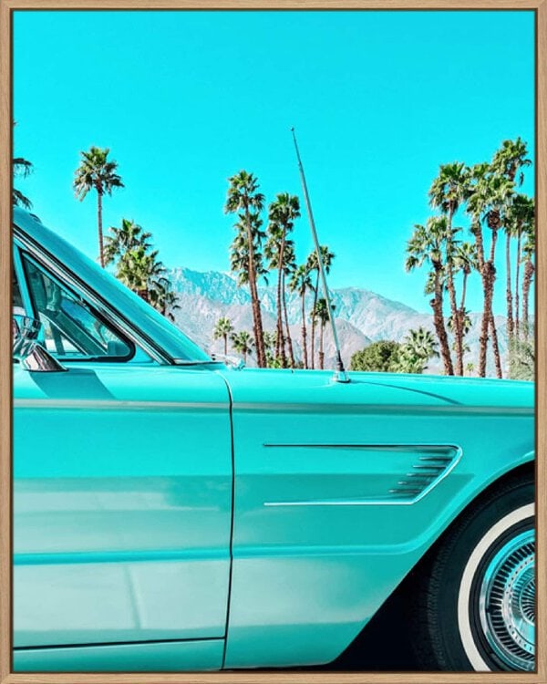 Teal Thunderbird in Palm Springs - Canvas Gallery Natural