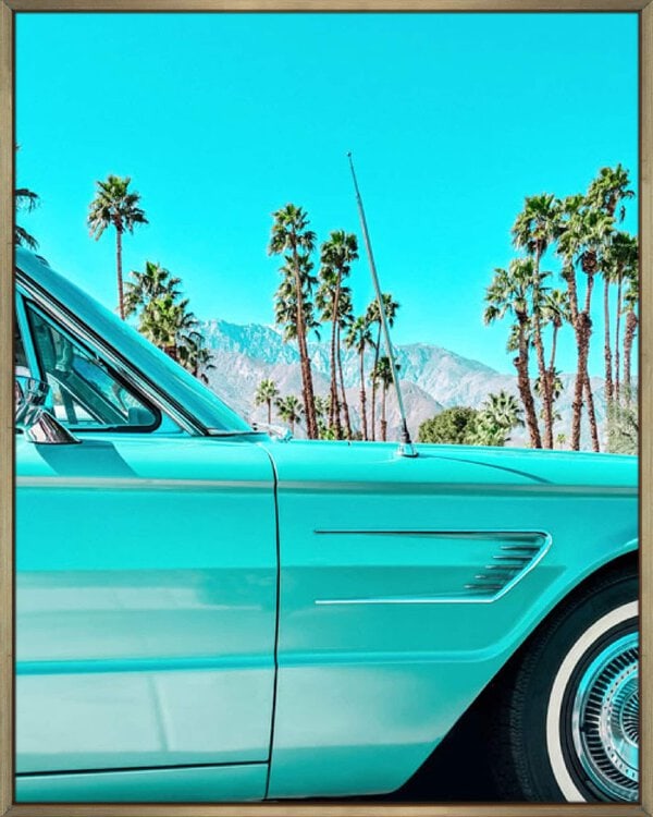 Teal Thunderbird in Palm Springs - Canvas Gallery Champagne