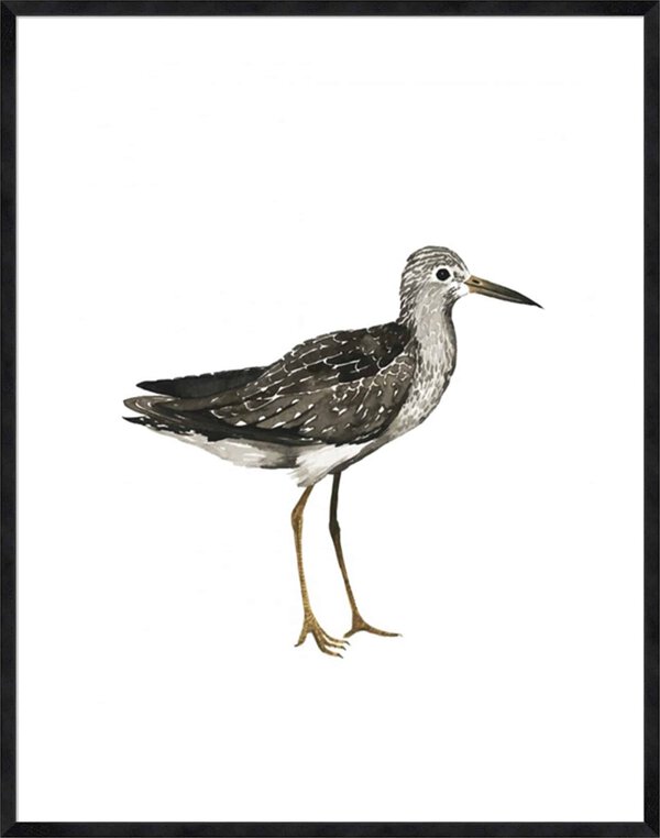 Sea Bird III - 5cm White Border Sm. Black Woodgrain