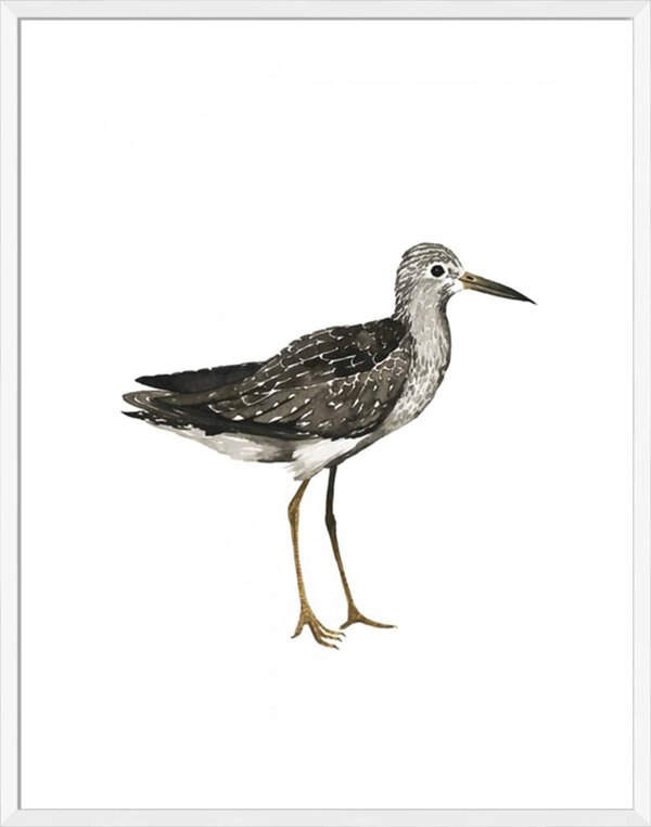 Sea Bird III - 5cm White Border Box White