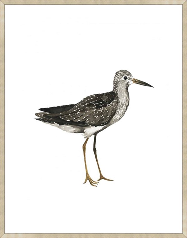 Sea Bird III - 5cm White Border Sm. Box Champagne