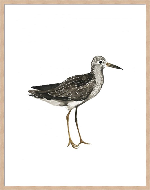 Sea Bird III - 5cm White Border Box Natural