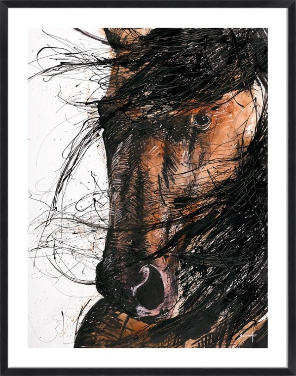 Brown Horse - 5cm White Border Box Black