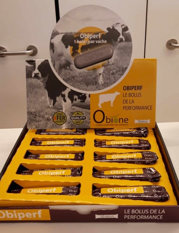 Obione Obiperf 10 bolus Bovin – Bolus minéral