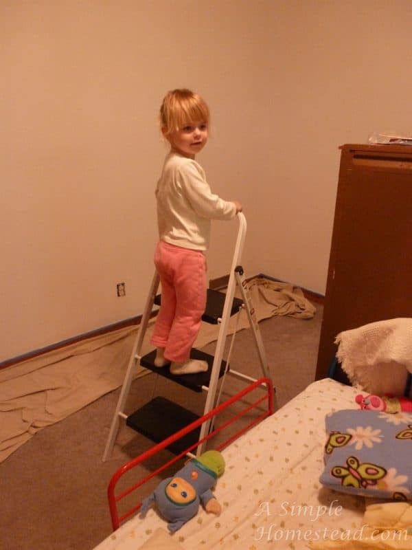 ASimpleHomestead.com - my turn to paint
