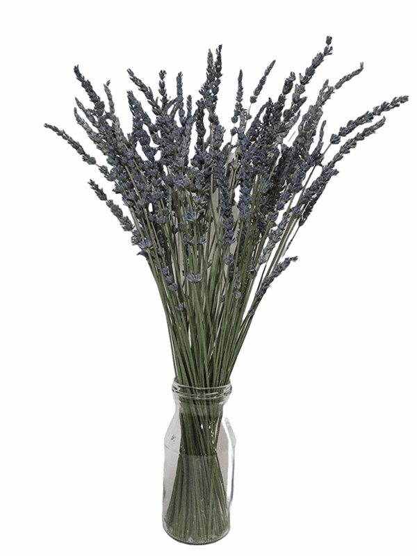 Premium Dried Lavender Bundle